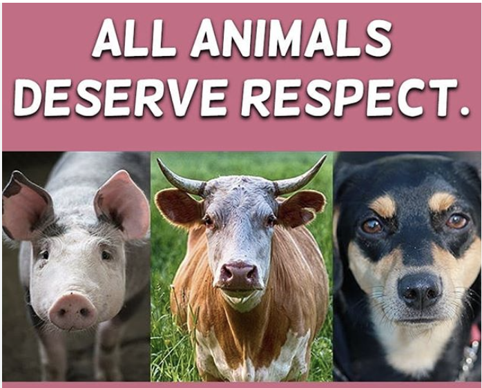 Speciesism All Animals Matter